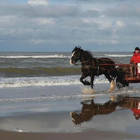 Апартаменты Centraal Aan Zee Эгмонд-ан-Зее Экстерьер фото