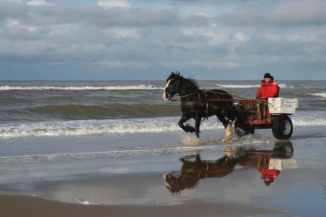 Апартаменты Centraal Aan Zee Эгмонд-ан-Зее Экстерьер фото